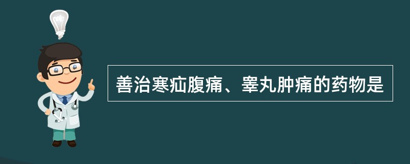 善治寒疝腹痛、睾丸肿痛的药物是