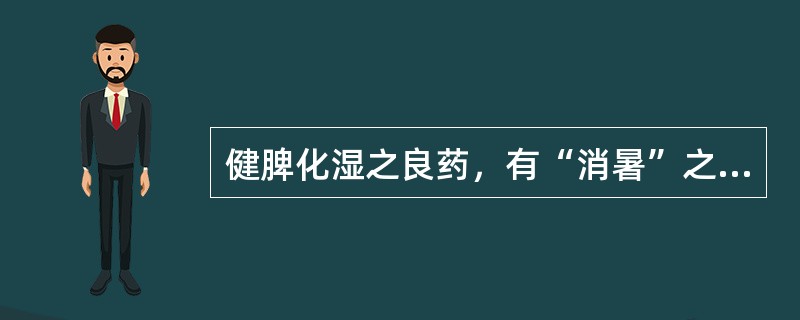 健脾化湿之良药，有“消暑”之效的药物是