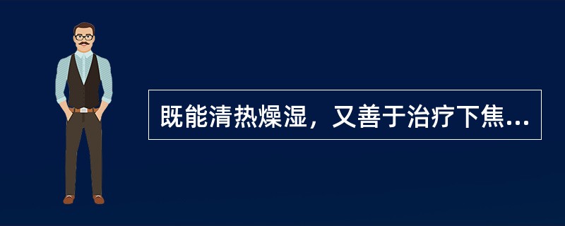 既能清热燥湿，又善于治疗下焦湿热诸证和阴虚发热的药物是