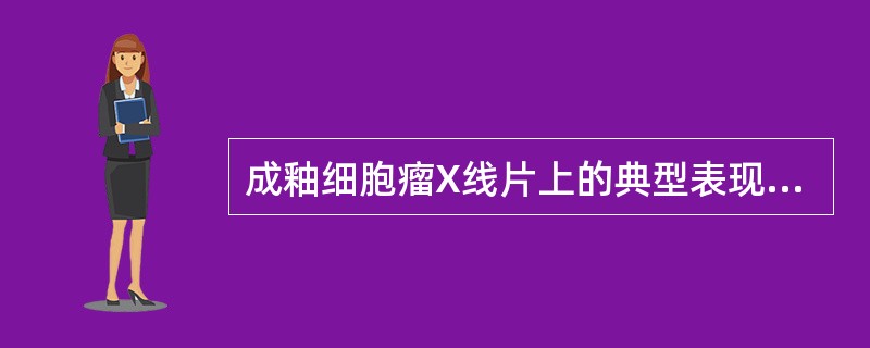 成釉细胞瘤X线片上的典型表现为（）