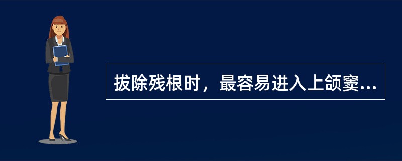 拔除残根时，最容易进入上颌窦的是（）