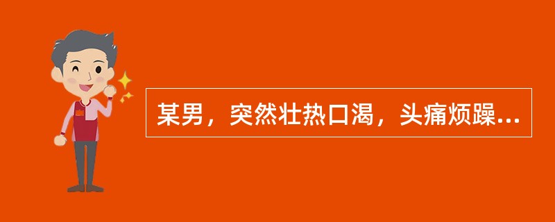 某男，突然壮热口渴，头痛烦躁，恶心未吐，继之剧烈腹痛，泻下鲜紫脓血，里急后重。舌红降，苔黄燥，脉滑数。宜用（）