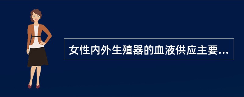 女性内外生殖器的血液供应主要来自（）