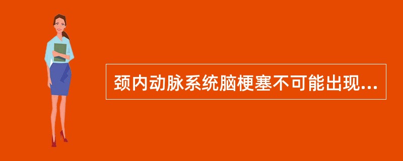 颈内动脉系统脑梗塞不可能出现的症状是（）