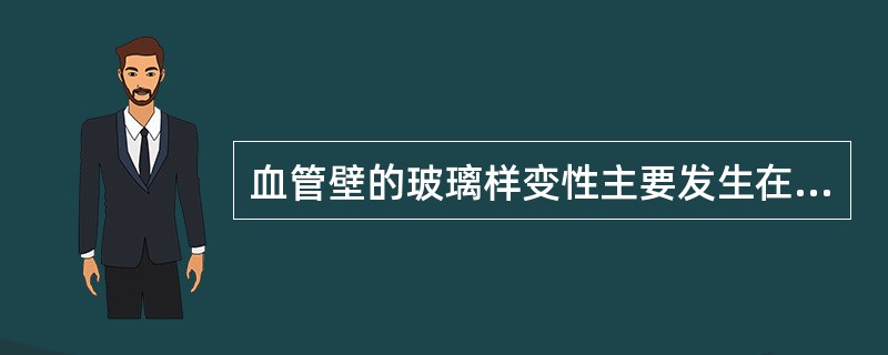 血管壁的玻璃样变性主要发生在（）