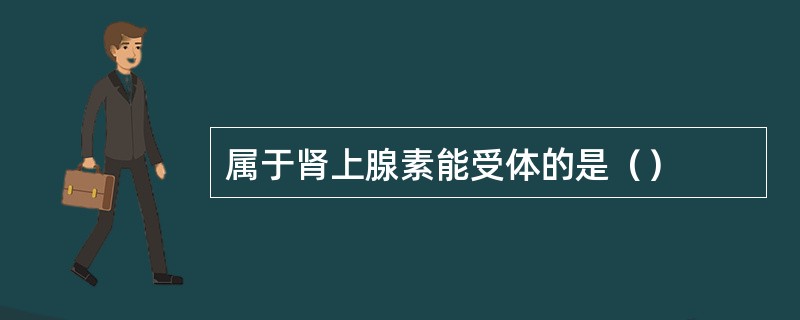 属于肾上腺素能受体的是（）
