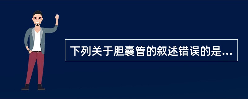 下列关于胆囊管的叙述错误的是（）