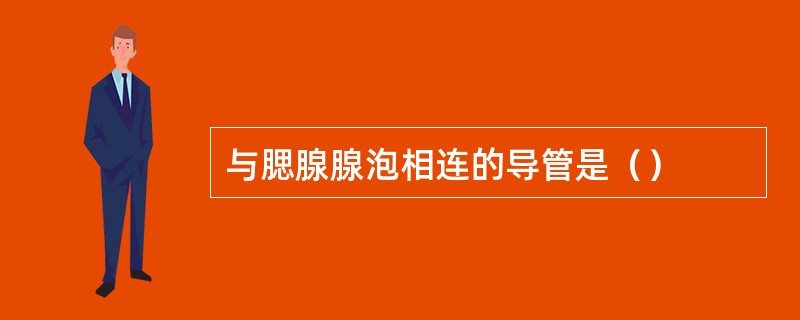 与腮腺腺泡相连的导管是（）