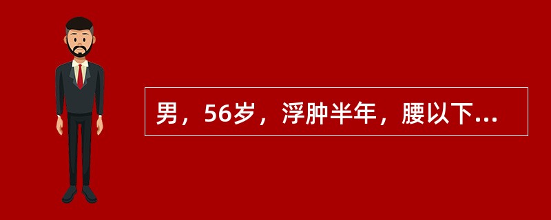 男，56岁，浮肿半年，腰以下尤甚，按之没指，小便短少，畏冷肢凉，腰膝酸软，舌淡胖，苔白滑，脉沉迟无力，属（）