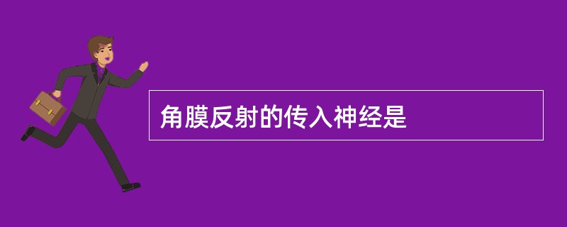 角膜反射的传入神经是