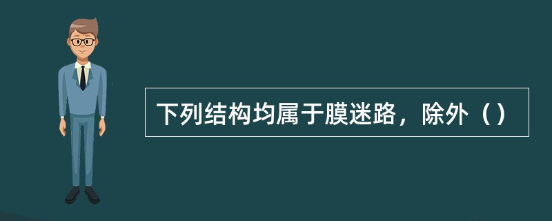 下列结构均属于膜迷路，除外（）