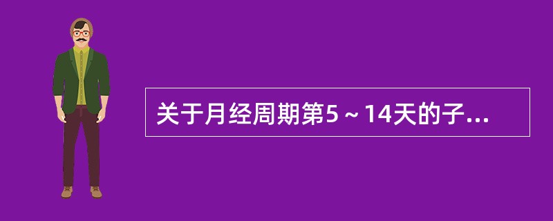 关于月经周期第5～14天的子宫内膜的描述，错误的是（）