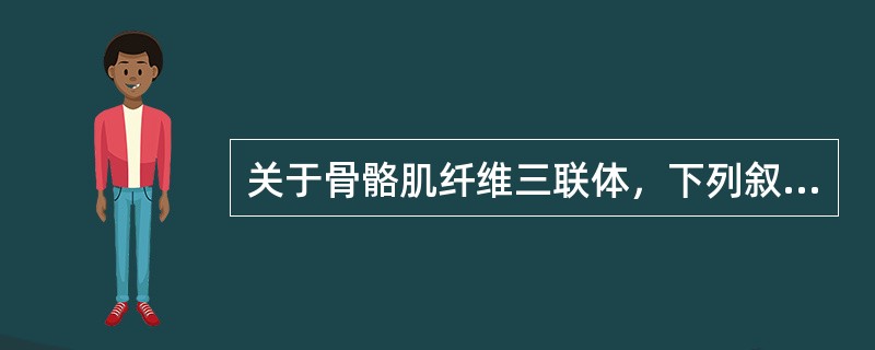 关于骨骼肌纤维三联体，下列叙述正确的是（）