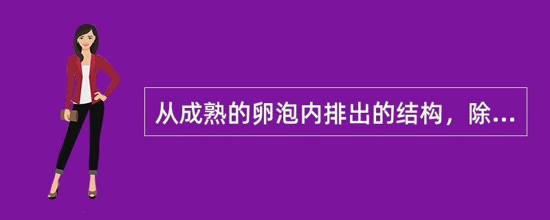 从成熟的卵泡内排出的结构，除外的是（）