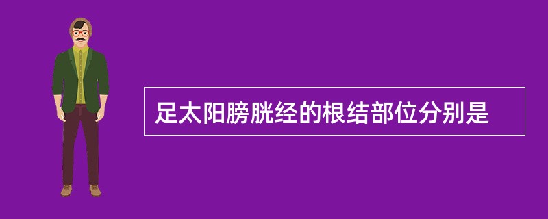 足太阳膀胱经的根结部位分别是