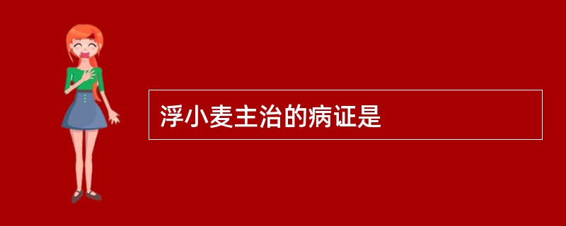 浮小麦主治的病证是