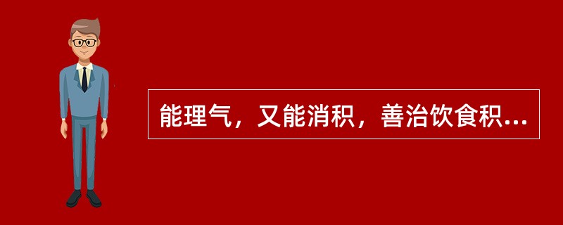 能理气，又能消积，善治饮食积滞脘、腹胀痛的药物是