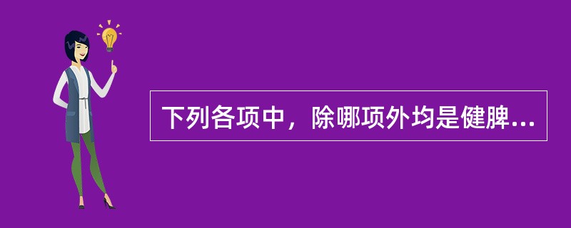 下列各项中，除哪项外均是健脾丸（《证治准绳》）的组成药物