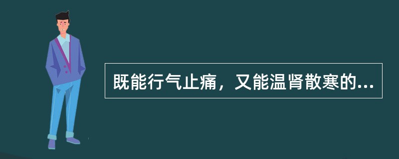 既能行气止痛，又能温肾散寒的药物是