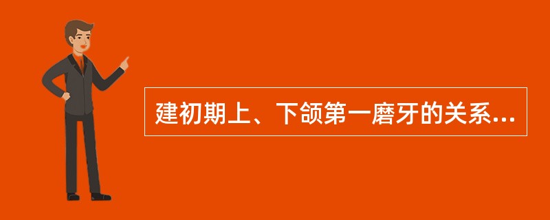 建初期上、下颌第一磨牙的关系为（）