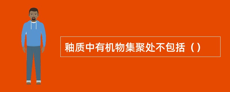 釉质中有机物集聚处不包括（）