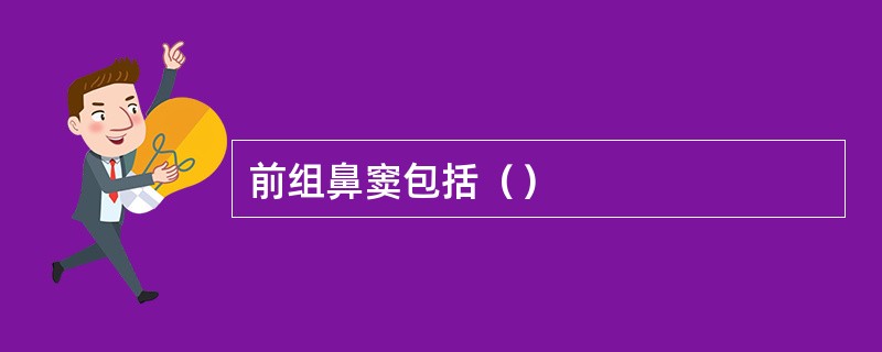 前组鼻窦包括（）