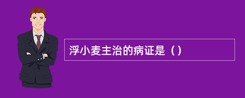 浮小麦主治的病证是（）