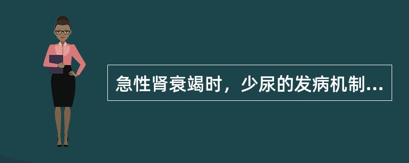 急性肾衰竭时，少尿的发病机制是（）