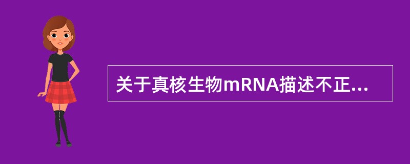 关于真核生物mRNA描述不正确的是