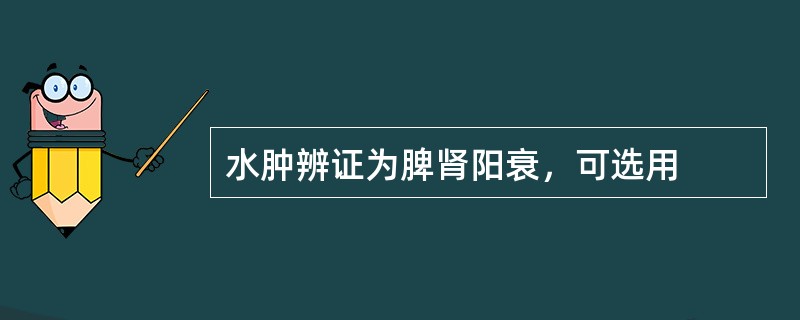 水肿辨证为脾肾阳衰，可选用