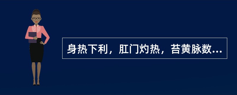身热下利，肛门灼热，苔黄脉数，治宜