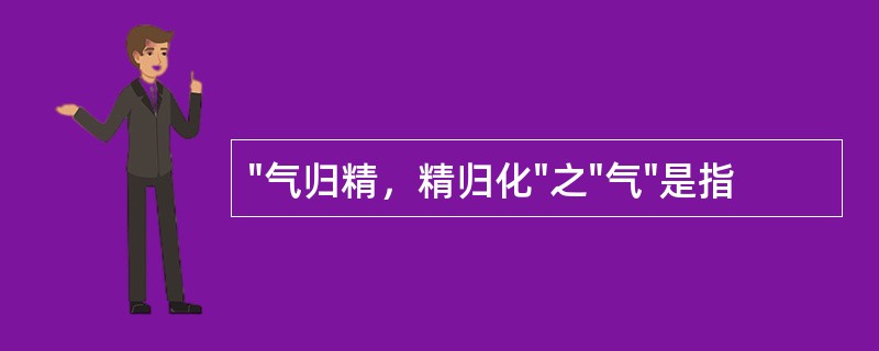 "气归精，精归化"之"气"是指