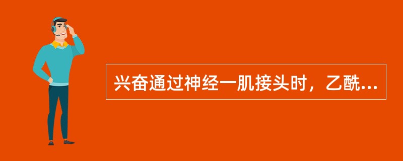 兴奋通过神经一肌接头时，乙酰胆碱与受体结合使终板膜（）