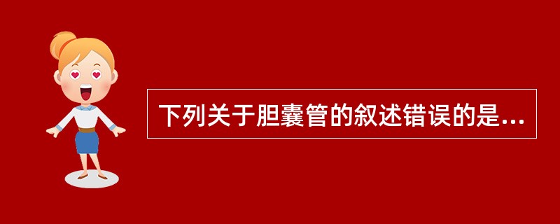 下列关于胆囊管的叙述错误的是（）