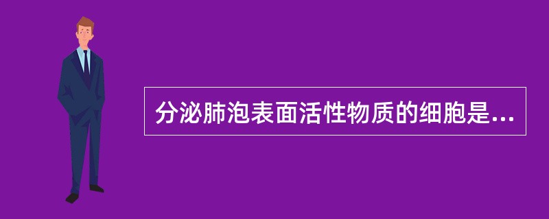 分泌肺泡表面活性物质的细胞是（）