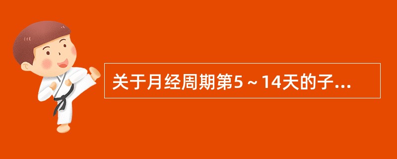 关于月经周期第5～14天的子宫内膜的描述，错误的是（）