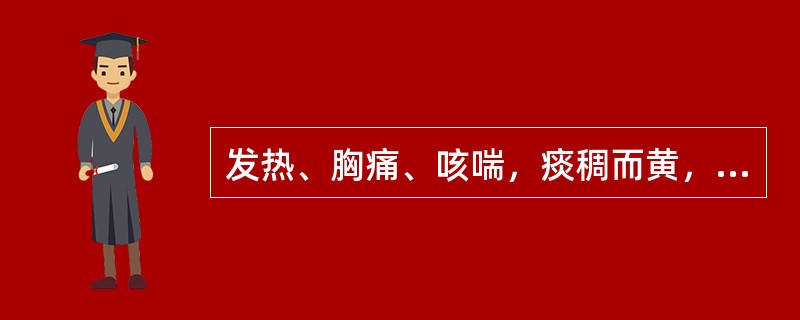 发热、胸痛、咳喘，痰稠而黄，鼻煽气促，其病机是（）