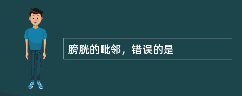 膀胱的毗邻，错误的是