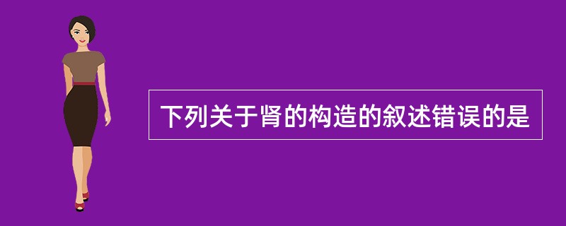 下列关于肾的构造的叙述错误的是