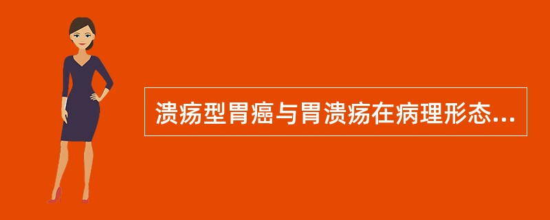 溃疡型胃癌与胃溃疡在病理形态上最主要的区别是