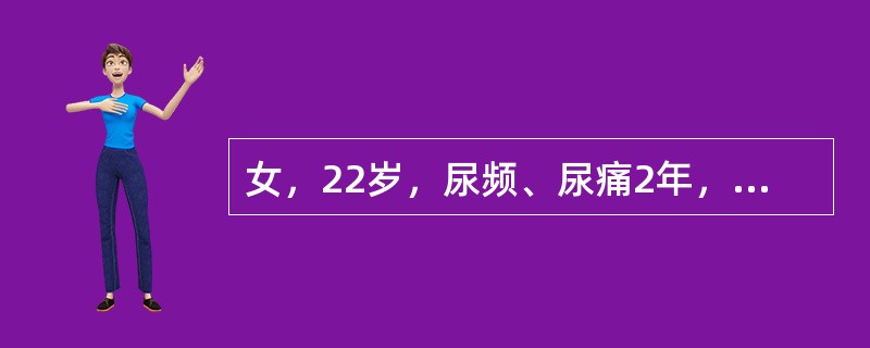 女，22岁，尿频、尿痛2年，终末血尿史和有米汤尿，使用消炎药无好转。如确诊为早期肾结核，其治疗应为()