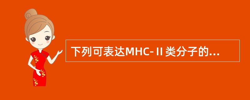 下列可表达MHC-Ⅱ类分子的细胞有