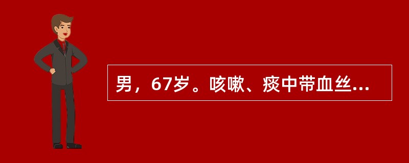 男，67岁。咳嗽、痰中带血丝2个月，发热10d。胸片显示右肺上叶片状阴影，呈肺炎样征象。出现以上症状，是由于病变损害了：