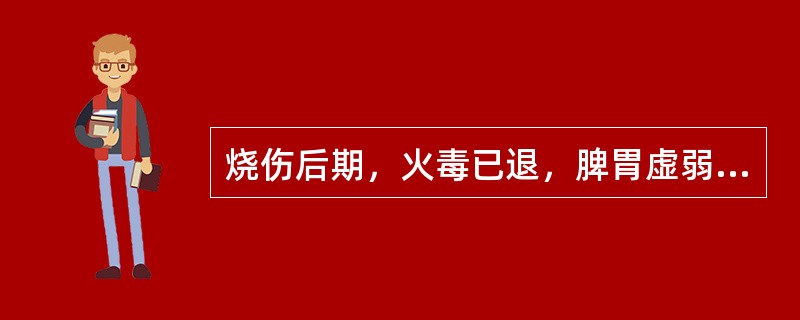 烧伤后期，火毒已退，脾胃虚弱，阴津耗损，面色萎黄，纳呆食少，腹胀便溏，口干少津，舌暗红而干，或光滑无苔，脉细数。内治法则是