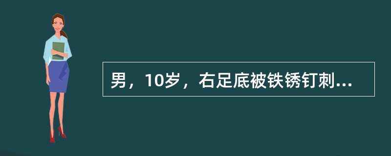 男，10岁，右足底被铁锈钉刺伤10天，突然出现张口困难，继之出现苦笑面容，角弓反张，声响及触碰病人可诱发上述症状，病人神志清楚，不发热。该病致病菌属于