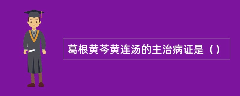 葛根黄芩黄连汤的主治病证是（）