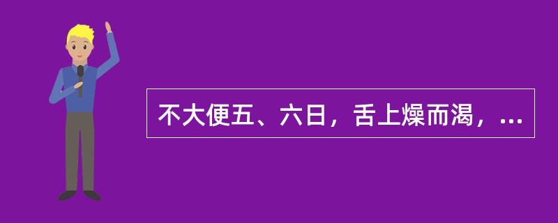 不大便五、六日，舌上燥而渴，日晡所小有潮热，从心下至少腹硬满而痛不可近者：（）