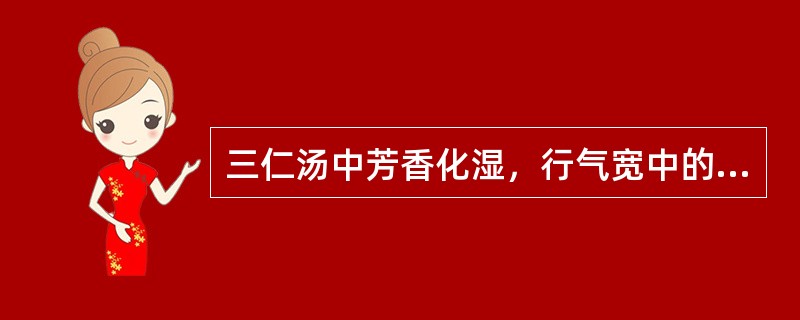 三仁汤中芳香化湿，行气宽中的药物是（）