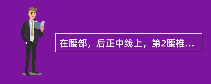 在腰部，后正中线上，第2腰椎棘突下凹陷中的腧穴是；（）