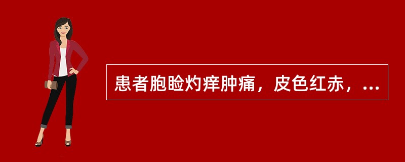 患者胞睑灼痒肿痛，皮色红赤，渗出粘液。其病因是：